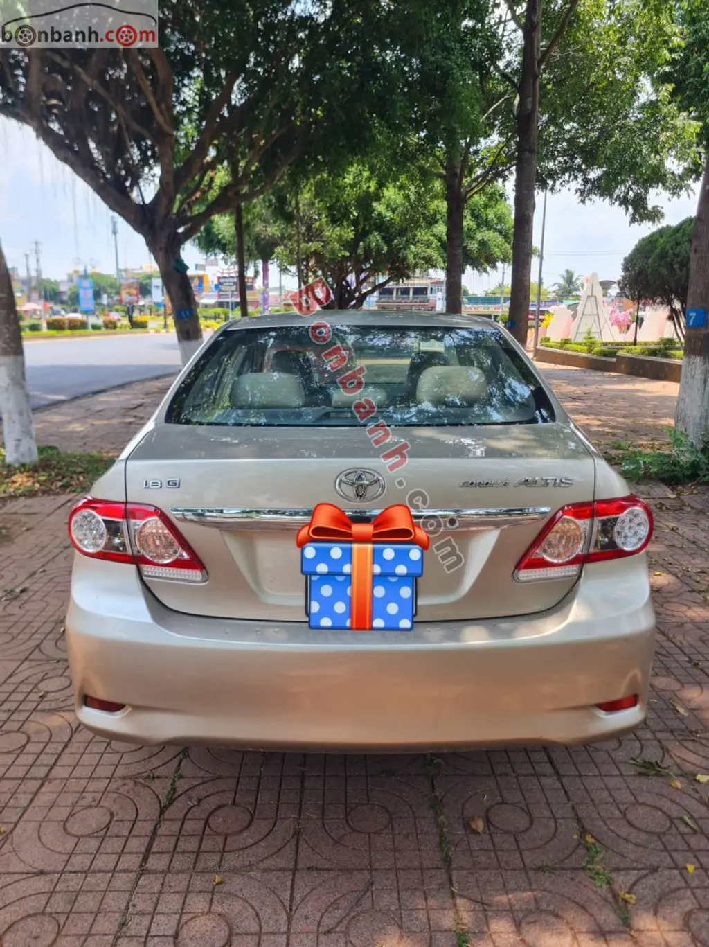 Hình ảnh số 4