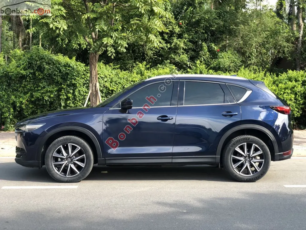 Hình ảnh số 2