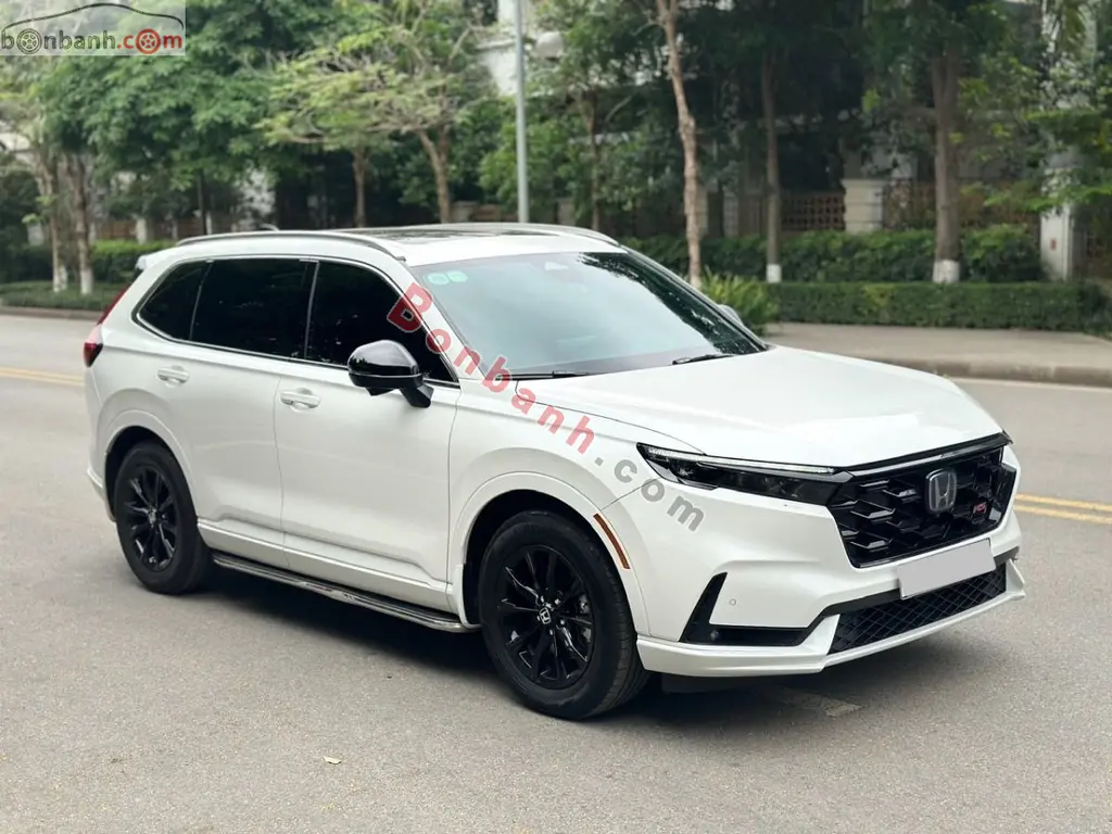 Hình ảnh số 2