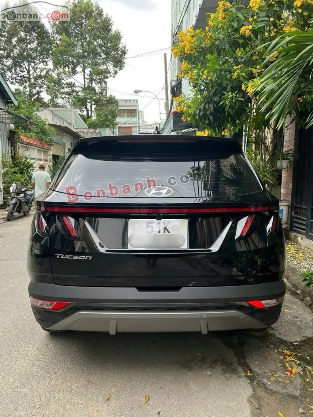Hình ảnh số 2