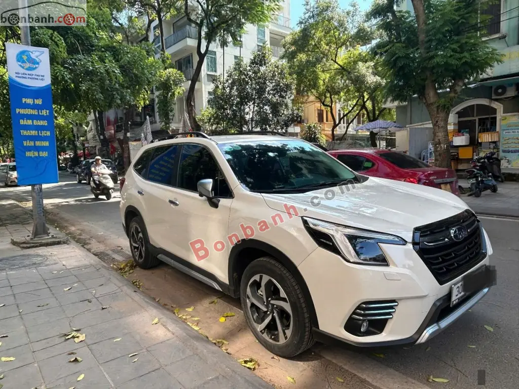 Hình ảnh số 2