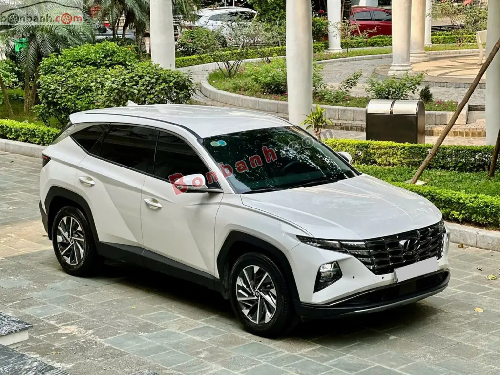 Hình ảnh số 3
