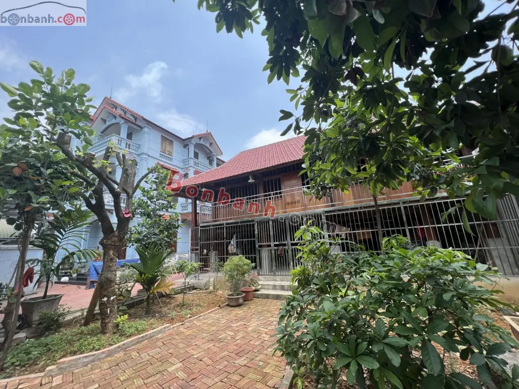 Hình ảnh số 5