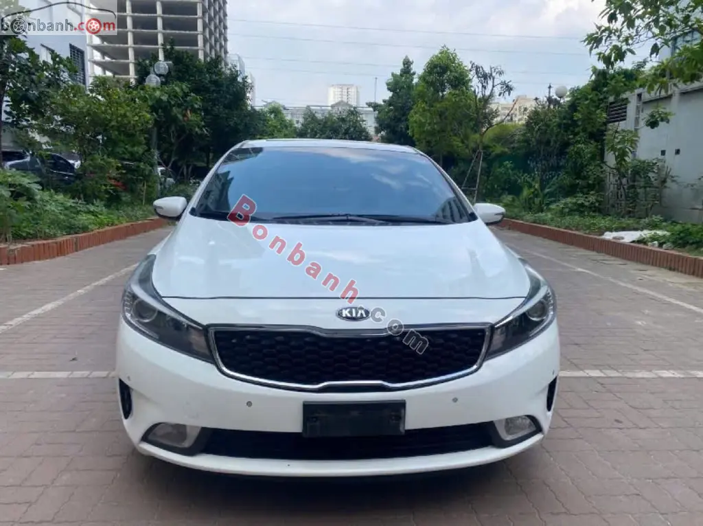 Hình ảnh số 2
