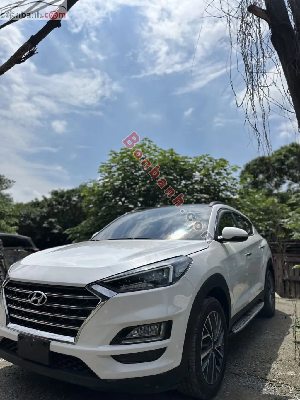 Hình ảnh số 3