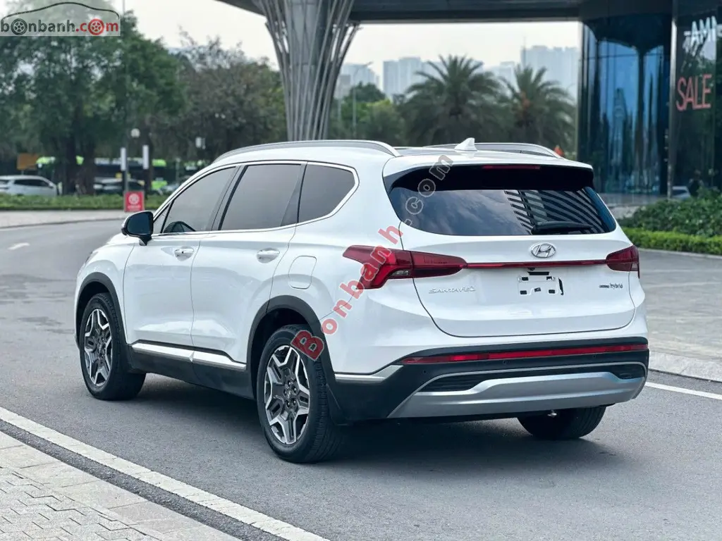 Hình ảnh số 3