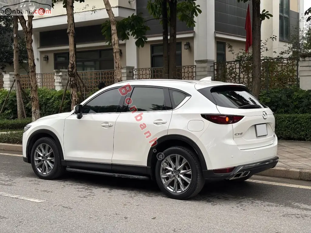 Hình ảnh số 3