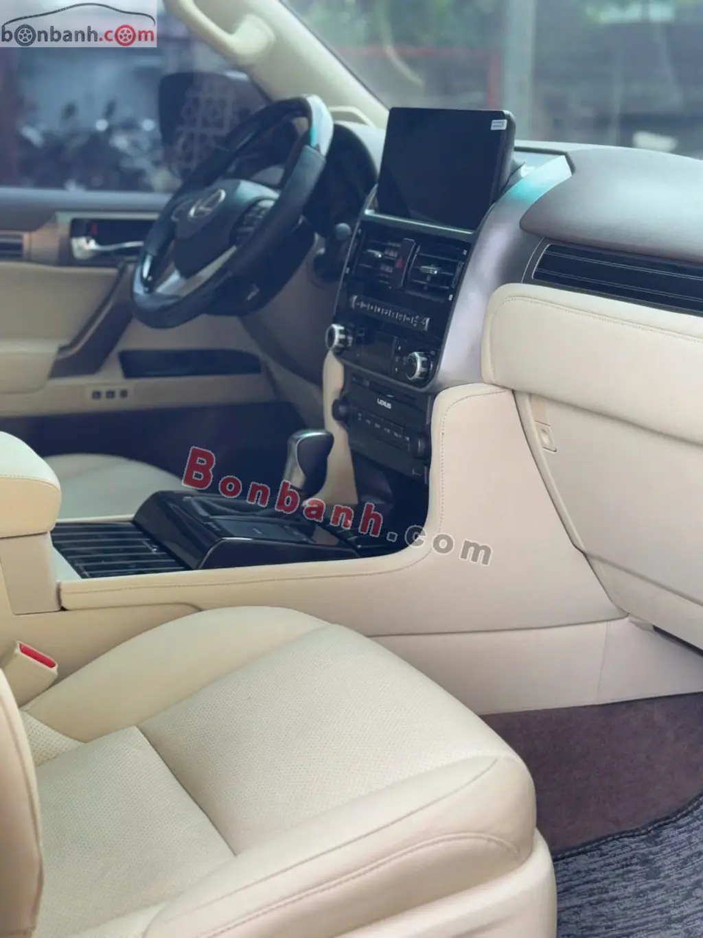 Hình ảnh số 8