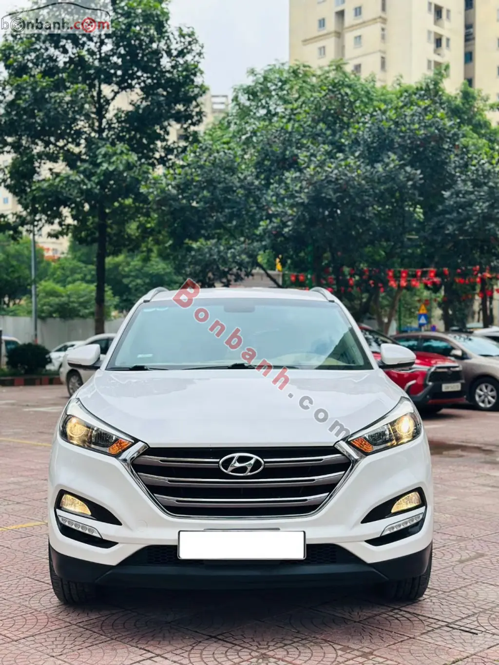 Hình ảnh số 2