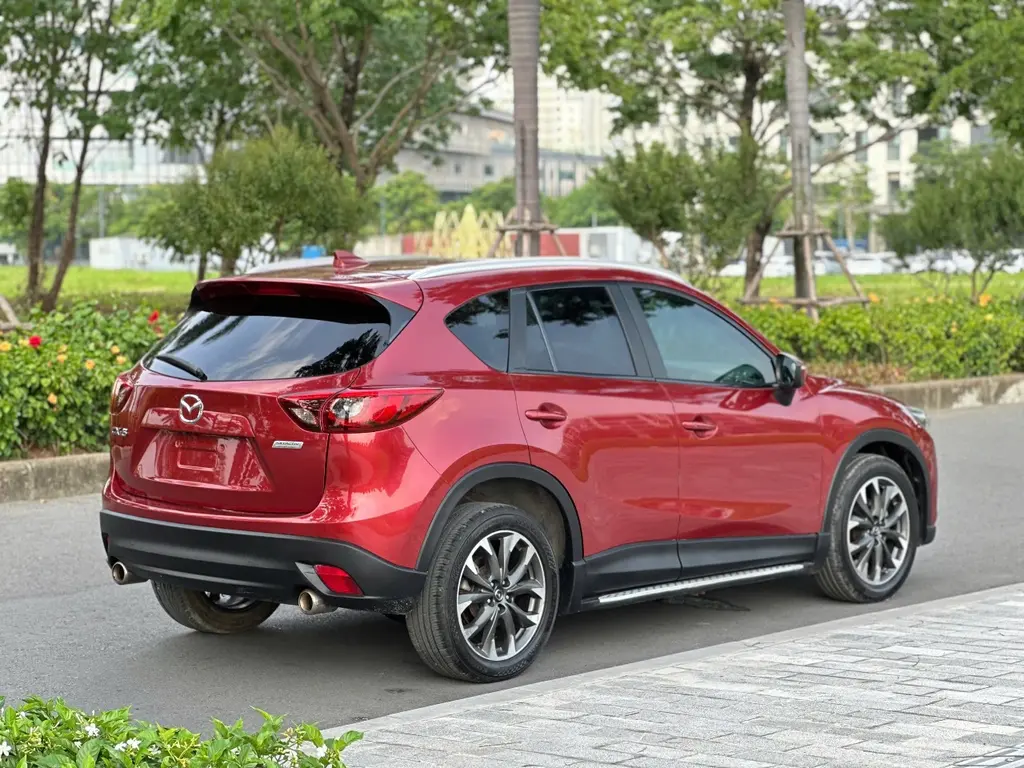 Hình ảnh số 8