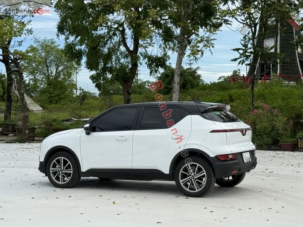 Hình ảnh số 3