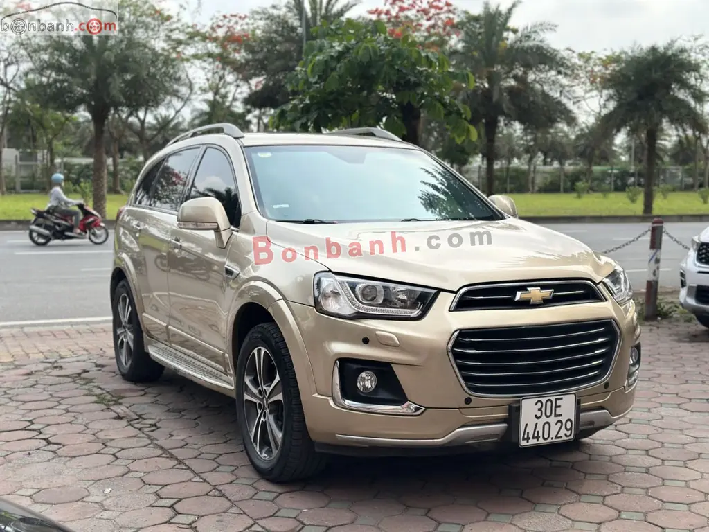 Hình ảnh số 2