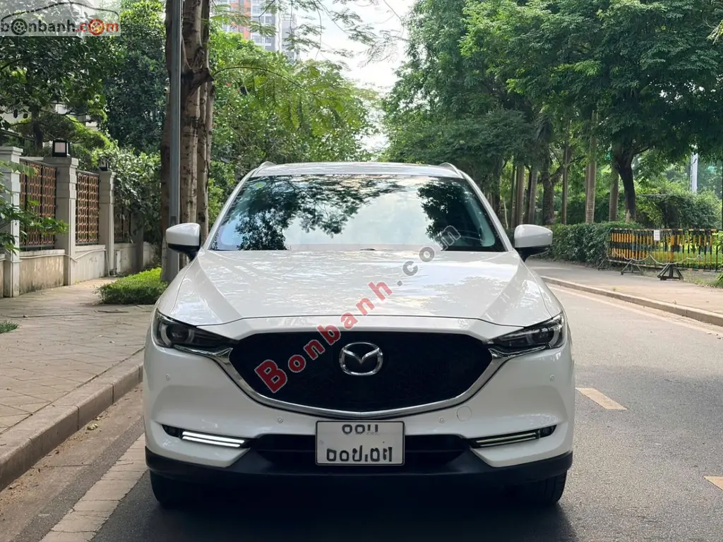 Hình ảnh số 2
