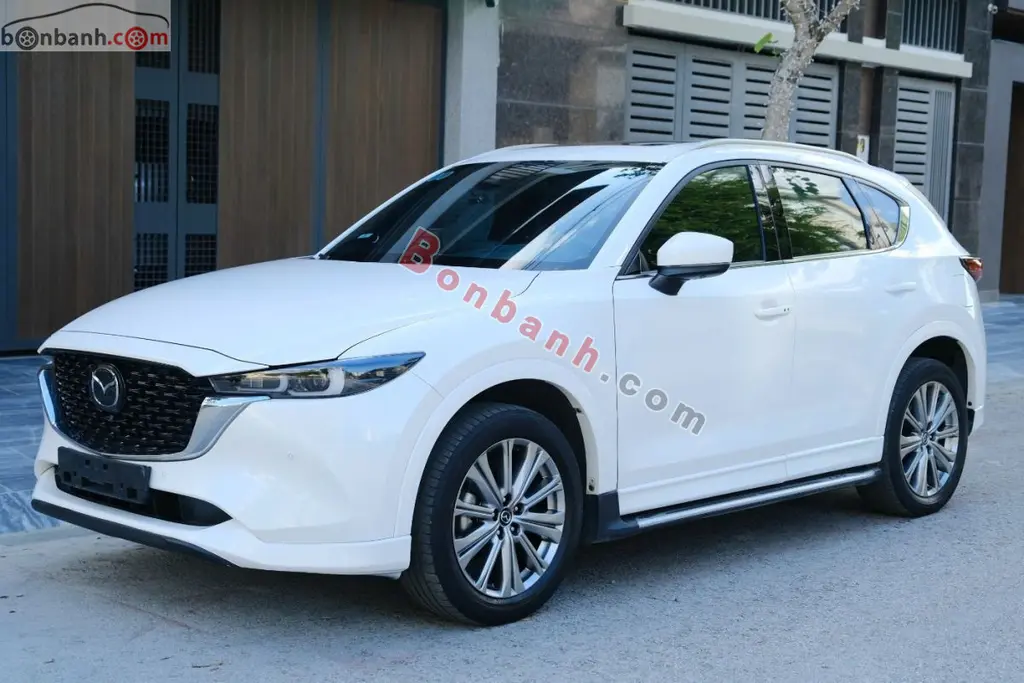 Hình ảnh số 2
