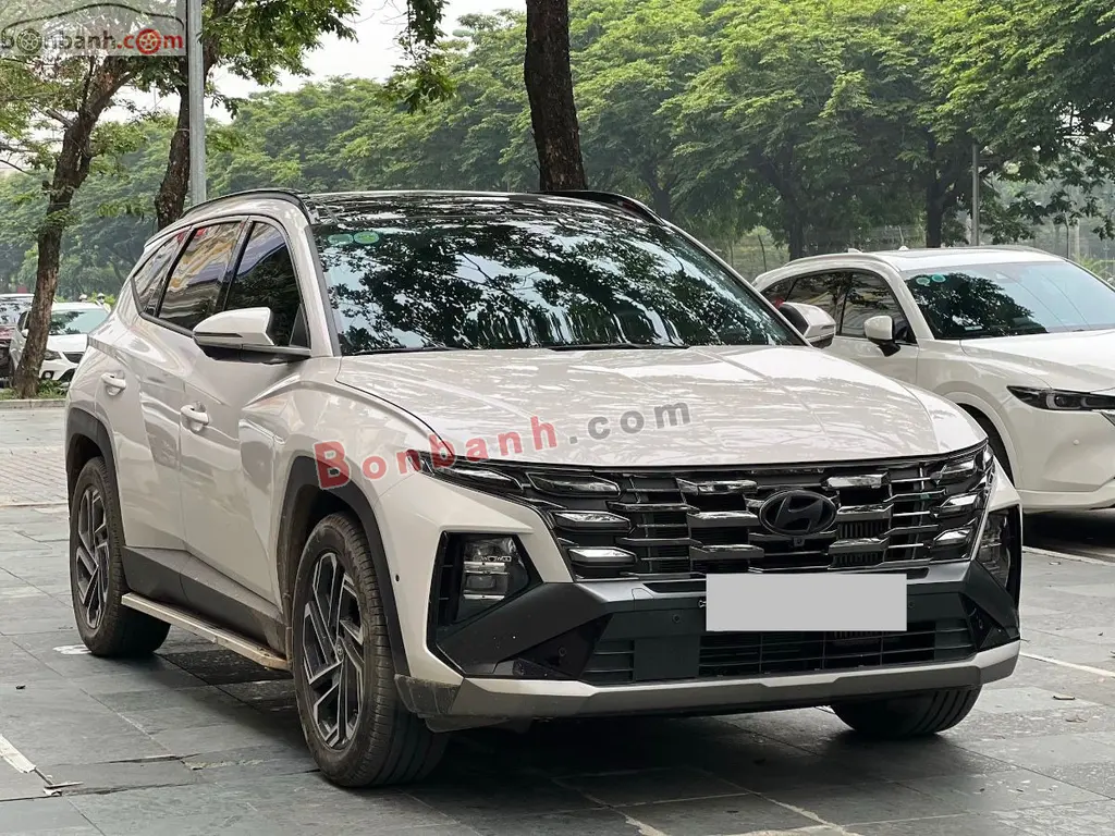 Hình ảnh số 2