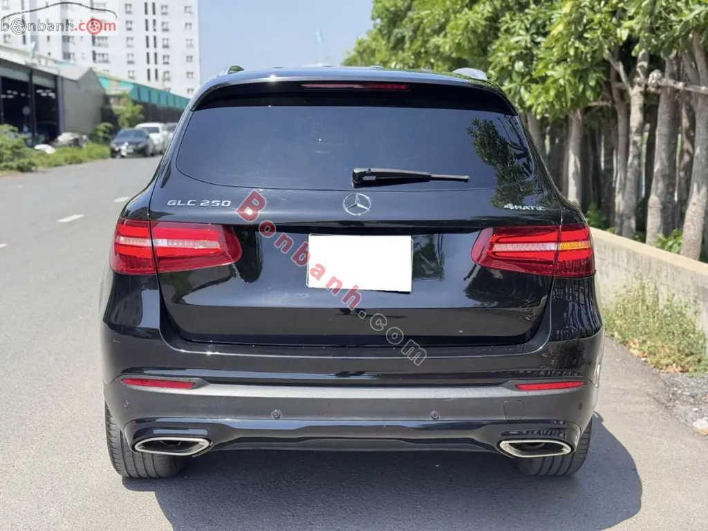 Hình ảnh số 2