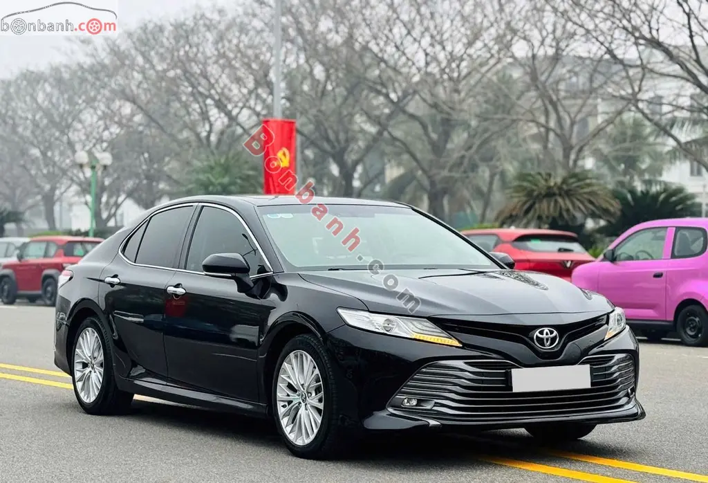 Hình ảnh số 2