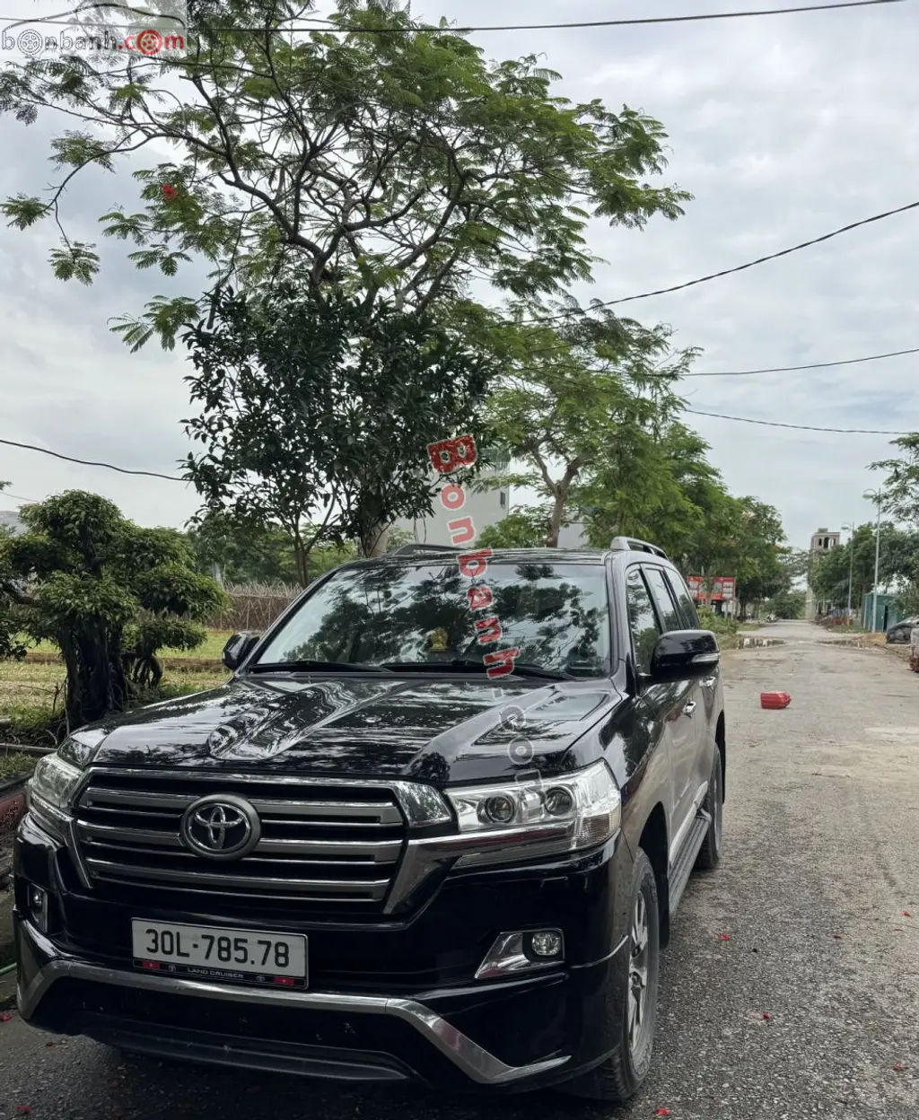 Hình ảnh số 2