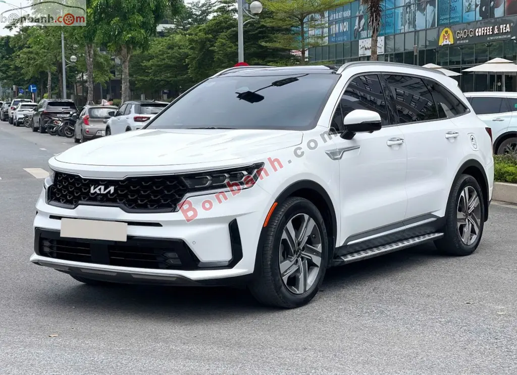 Hình ảnh số 3