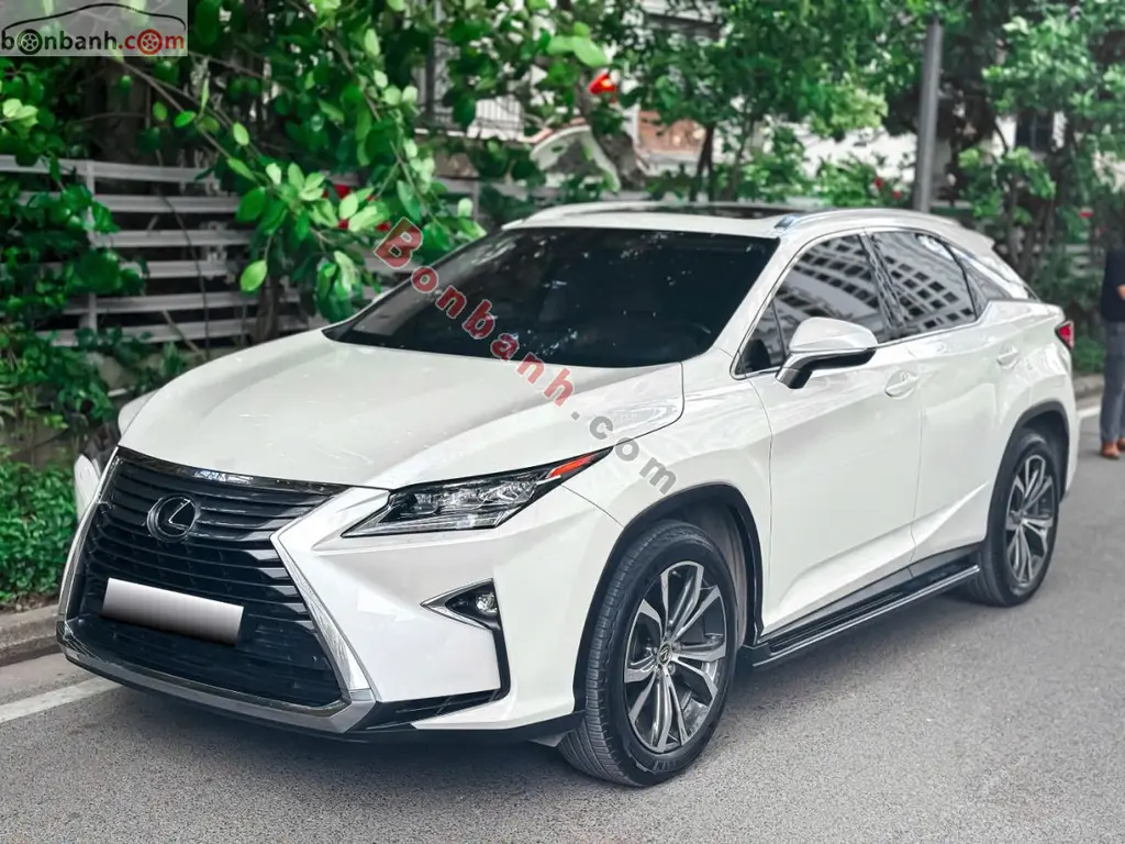 Hình ảnh số 2