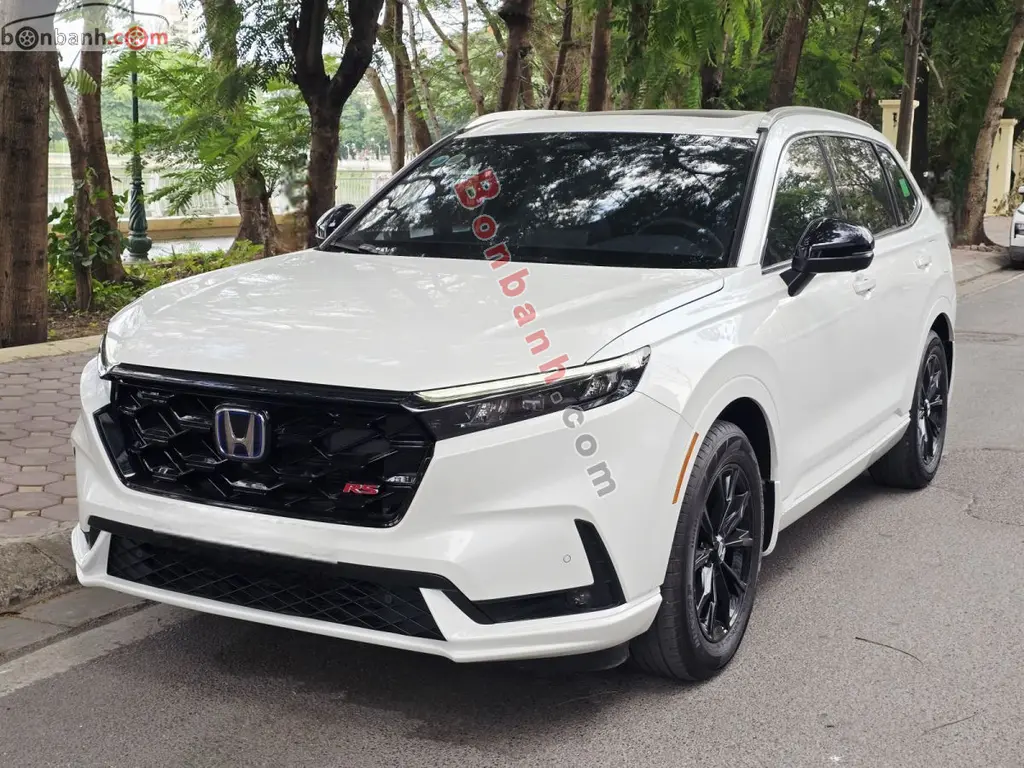 Hình ảnh số 2