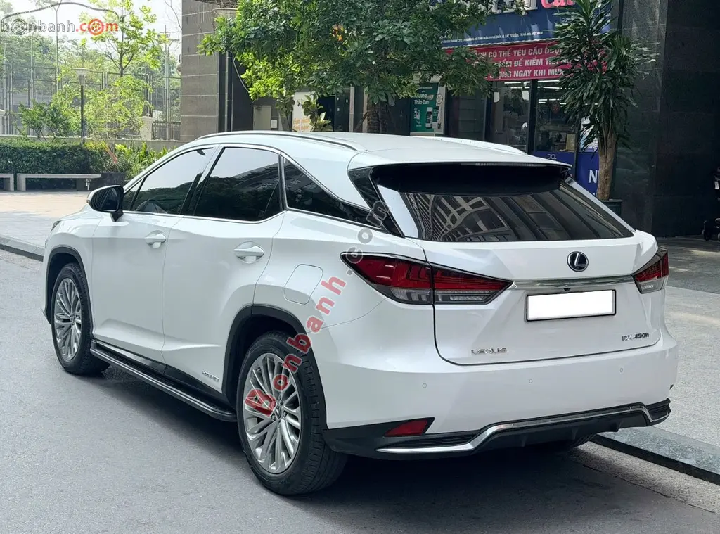 Hình ảnh số 4
