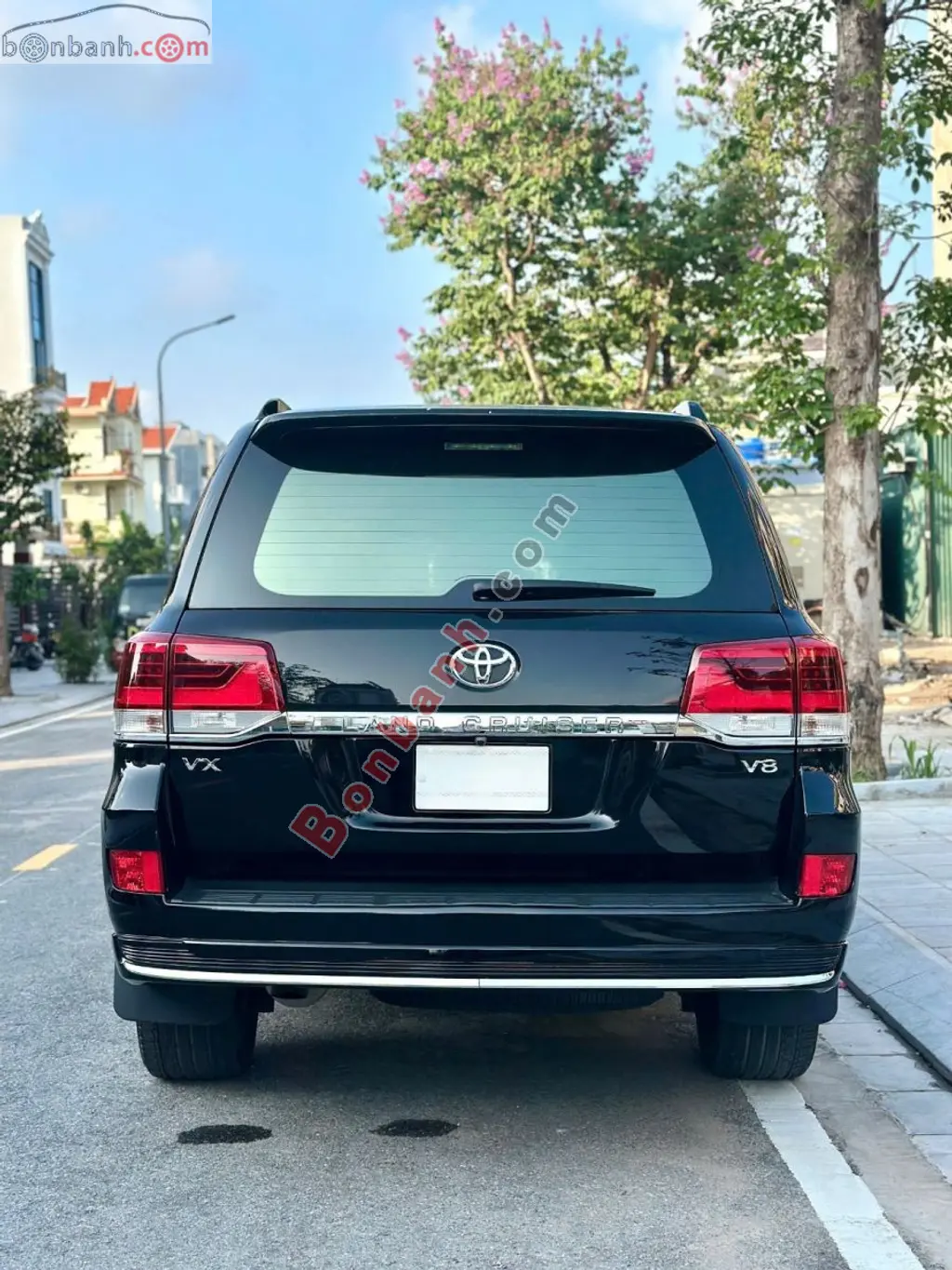 Hình ảnh số 5