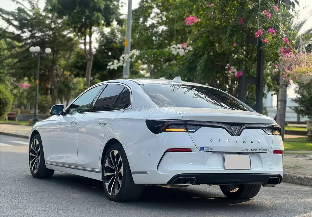 Hình ảnh số 5