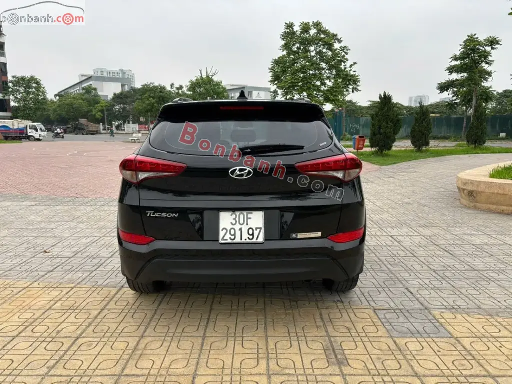 Hình ảnh số 2