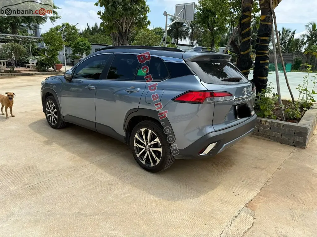 Hình ảnh số 3