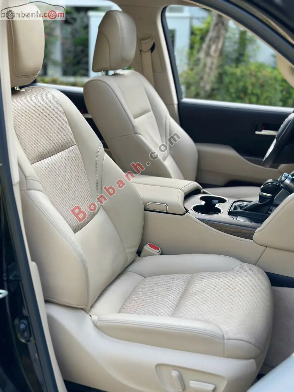 Hình ảnh số 8