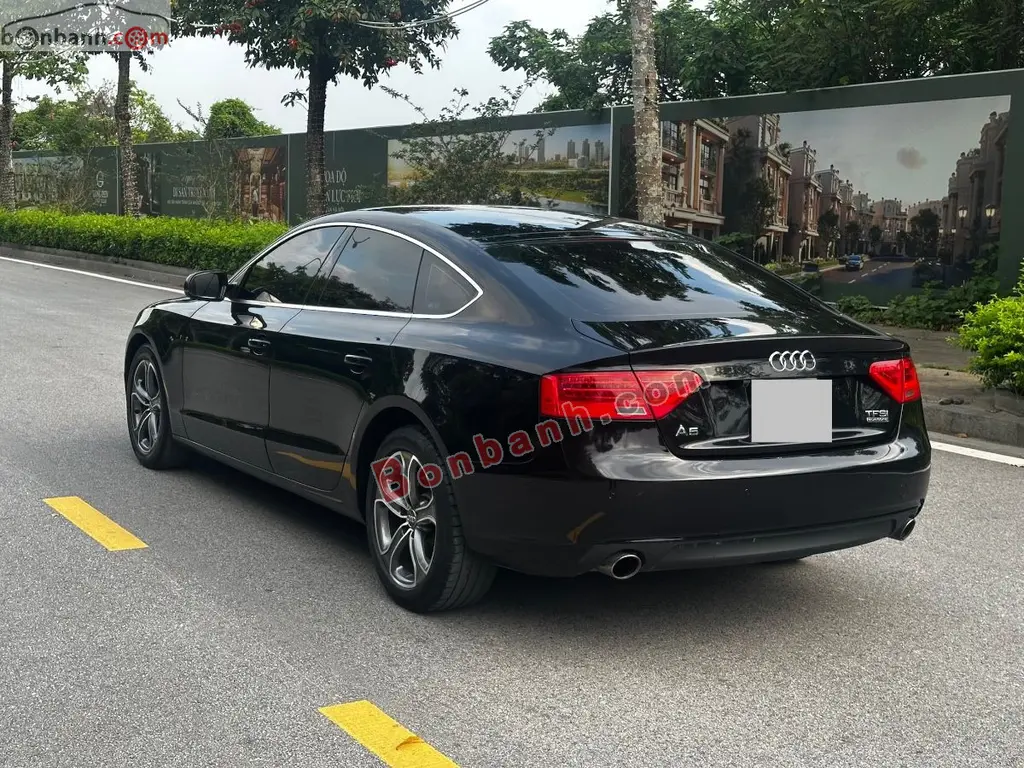 Hình ảnh số 4