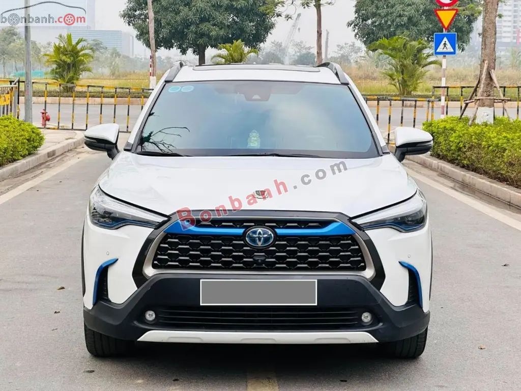Hình ảnh số 10