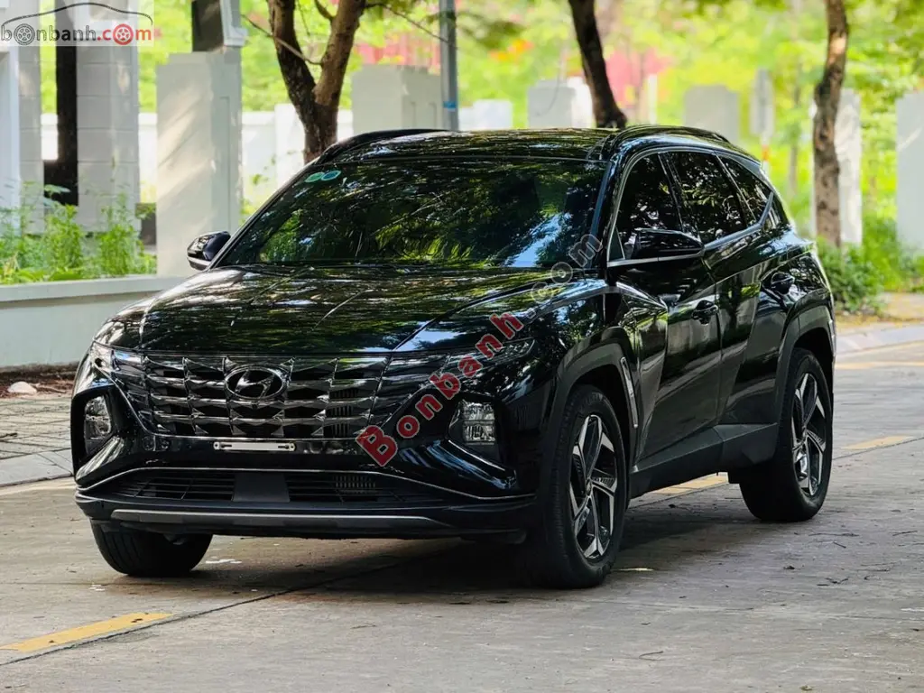 Hình ảnh số 2