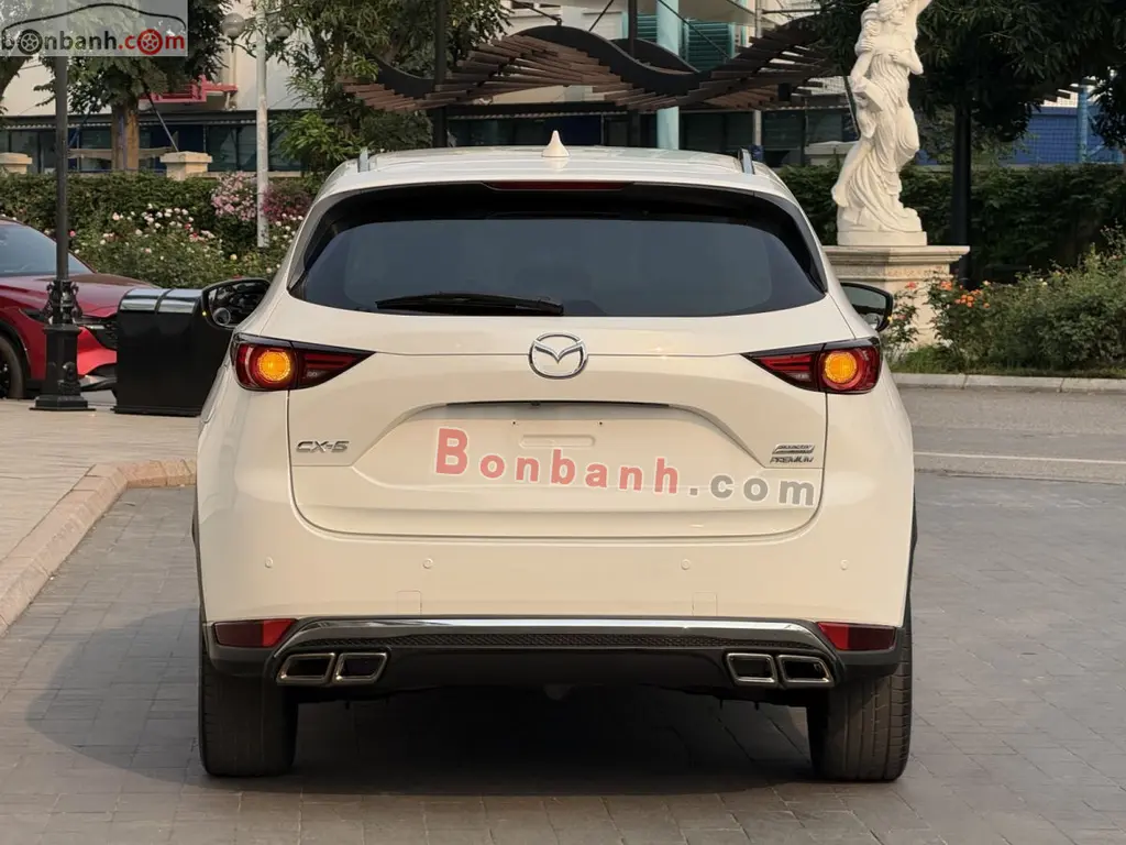 Hình ảnh số 7