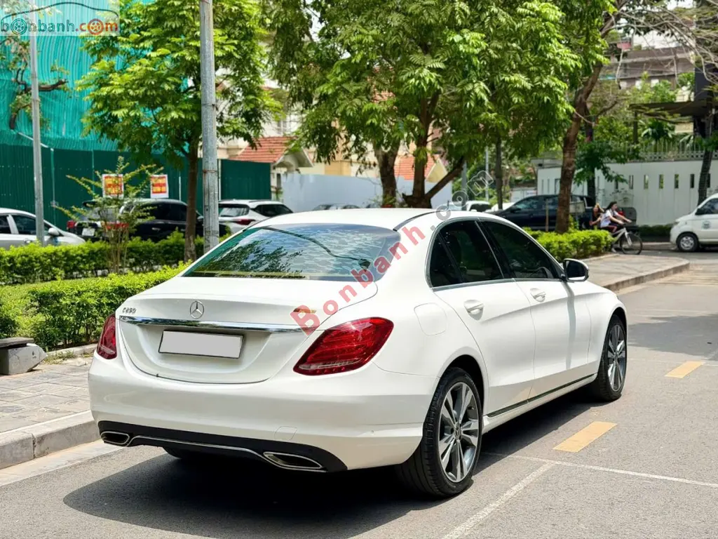 Hình ảnh số 3