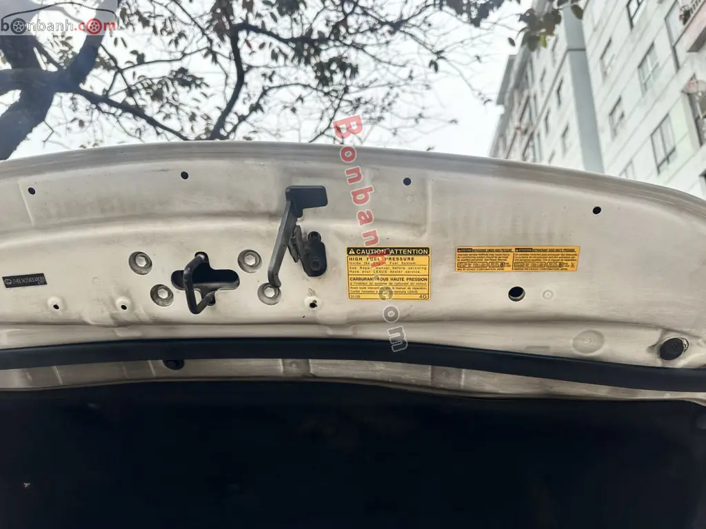 Hình ảnh số 8