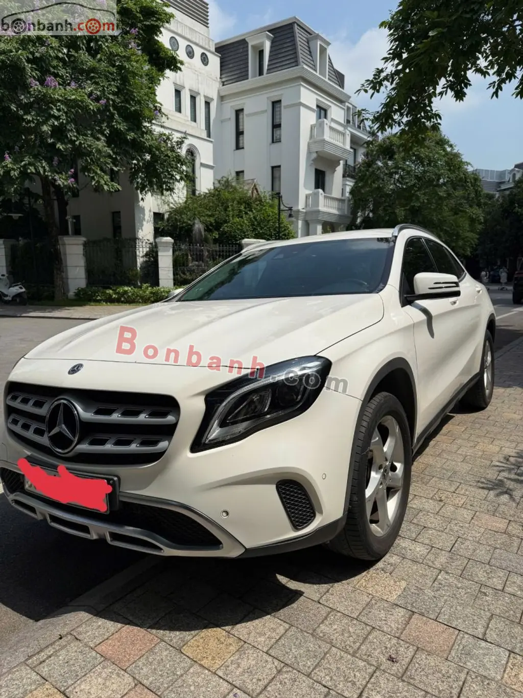 Hình ảnh số 2