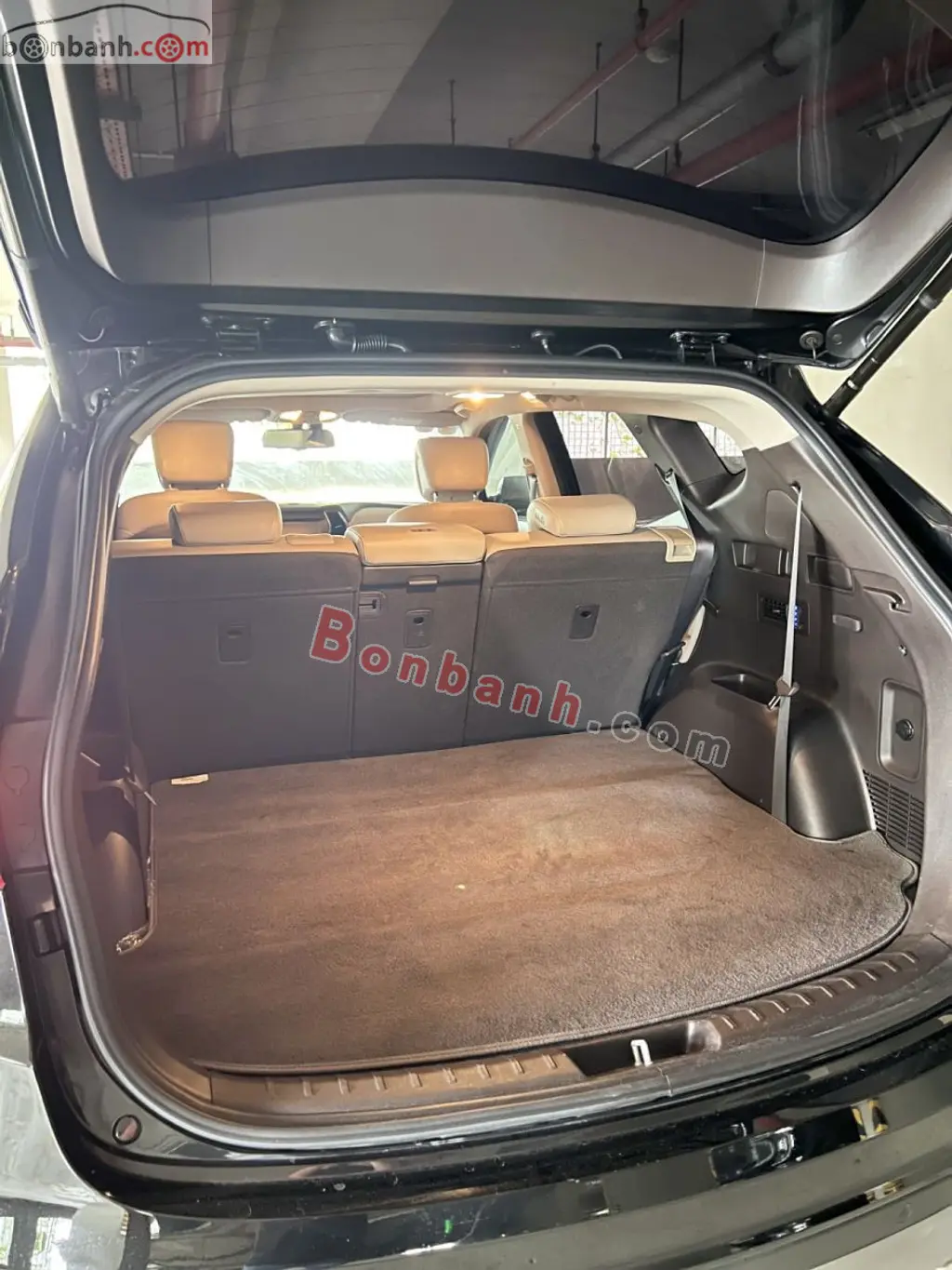 Hình ảnh số 8