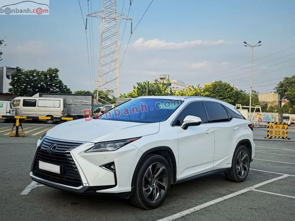 Hình ảnh số 2
