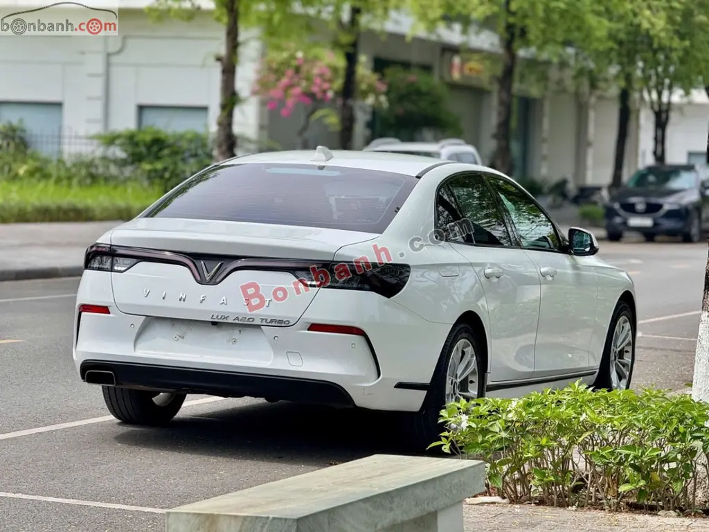Hình ảnh số 6
