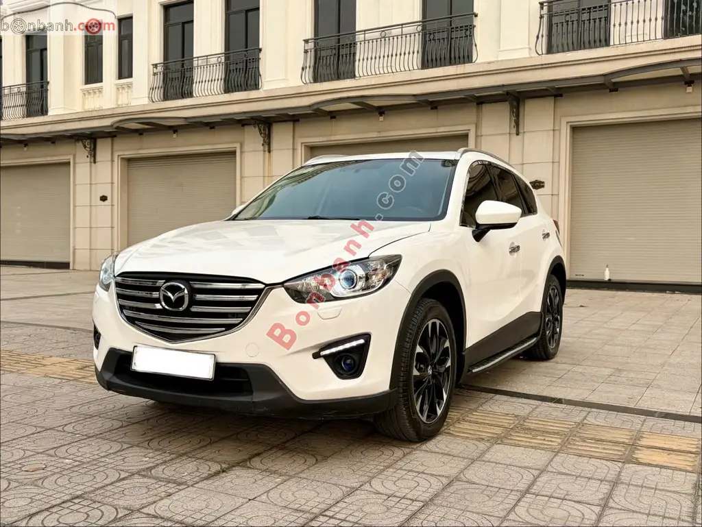 Hình ảnh số 2