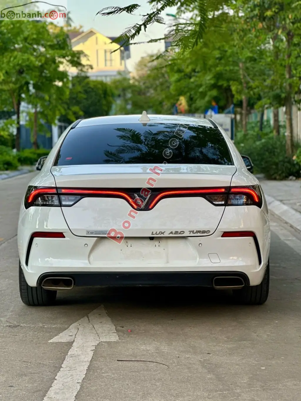 Hình ảnh số 4