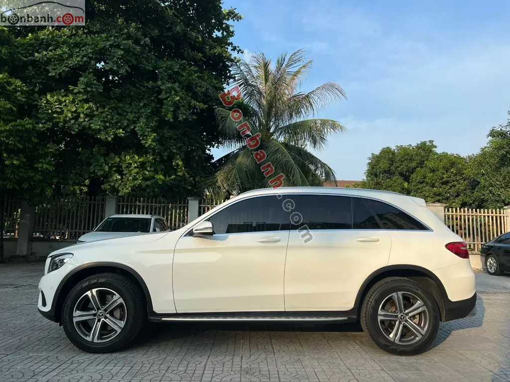 Hình ảnh số 4
