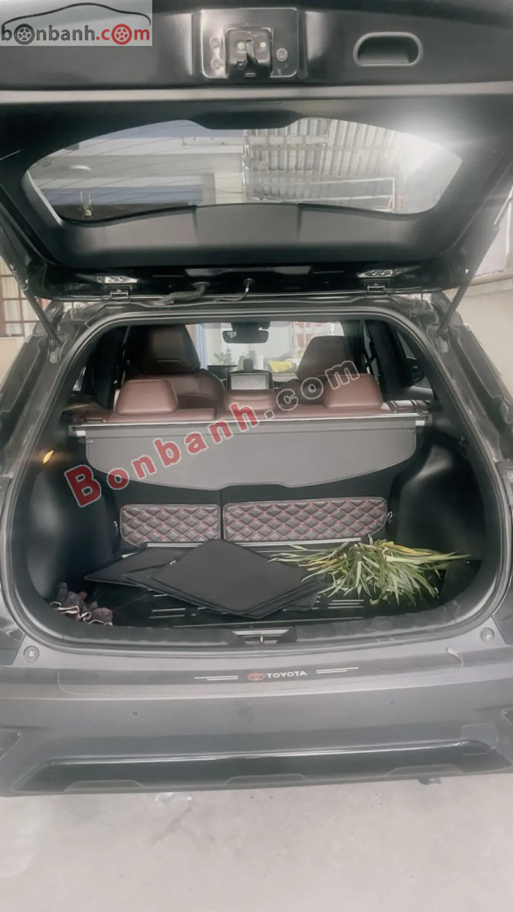 Hình ảnh số 10