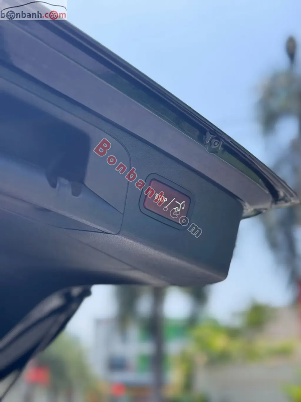 Hình ảnh số 8