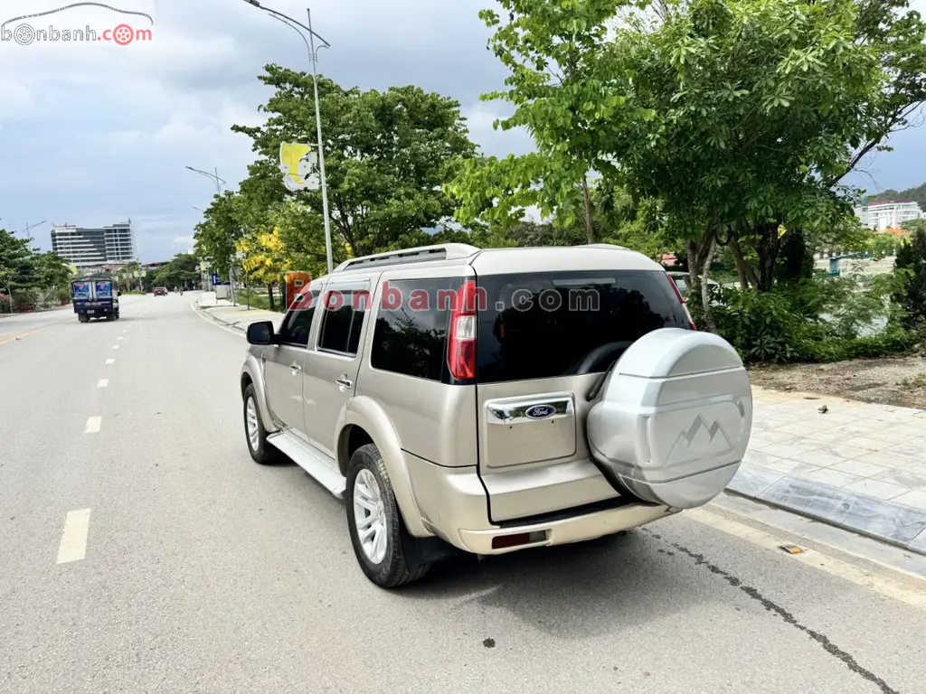 Hình ảnh số 6