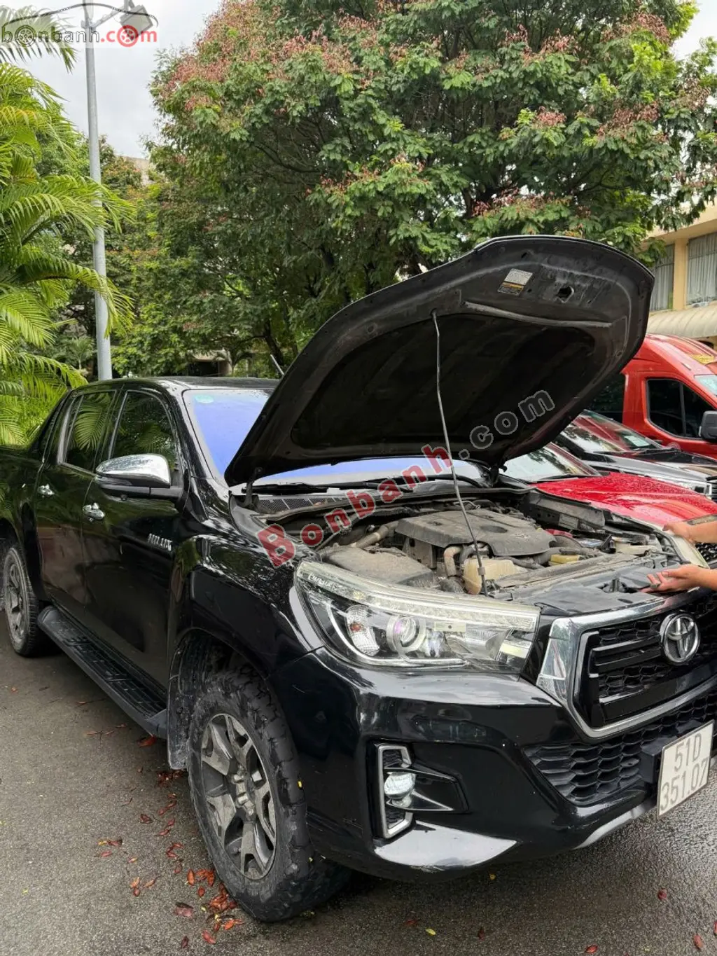 Hình ảnh số 10