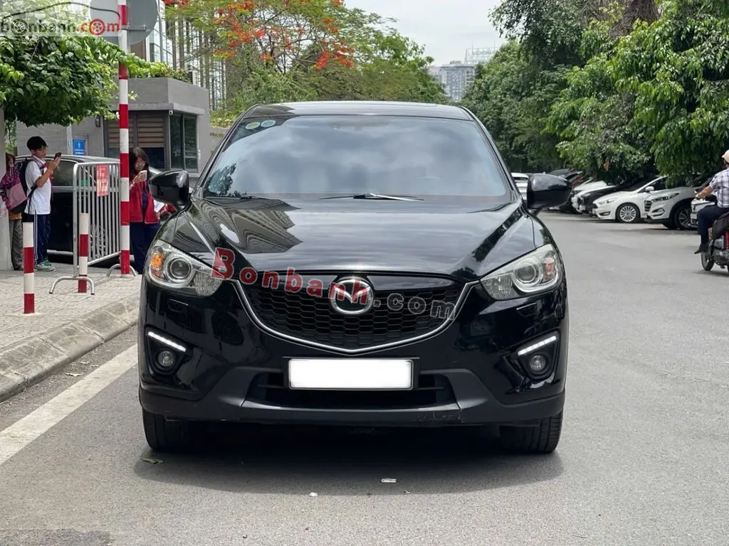 Hình ảnh số 2