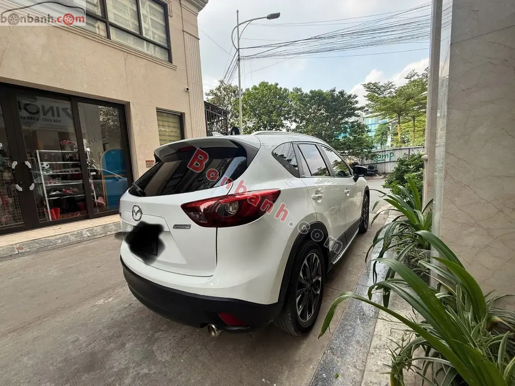 Hình ảnh số 7